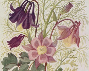 Postal antigua: Flores de Shakespeare, Hinojo y Aguileña, artista Hilda M Coley, Medici, c. 1930, 90 x 140 mm