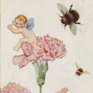 Carte postale ancienne, Millicent Sowerby, fée, bourdons, oeillets roses, série Flowers and Wings de Humphrey Milford, années 1920, 90 x 139 mm