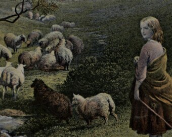 Postal antigua: Pastora escocesa y ovejas, Ca' the Yowes, poema de Robert Burns, Davidson & Sons, matasellos de 1910, 137 x 89 mm