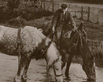 Antique real photo postcard: Working horses drinking from stream, 'The Day's Work Done', Rotary Photo, c 1910s, 140 x 90 mm