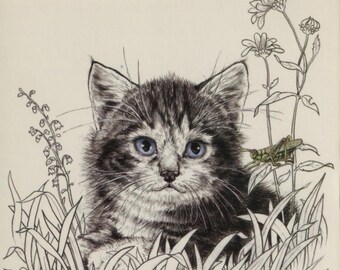 Vintage postcard: Kitten and grasshopper, artist Wolfgang Otto, Pictura Graphica 1986, 105 x 145 mm
