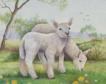 Postal antigua: Corderos, artista Helen Babington, Medici, c. 1980, 150 x 105 mm
