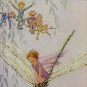 May include: An illustration of a fairy riding a dragonfly, with other fairies perched on a tree branch. The fairy on the dragonfly has pink wings and a purple dress. The fairies on the branch are wearing blue, purple, and yellow outfits.