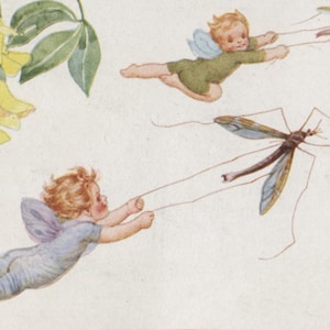 May include: A vintage illustration shows two winged cherubs in green and blue, flying and holding strings attached to a large insect. The artwork has a soft, watercolour style with a light background and floral elements.
