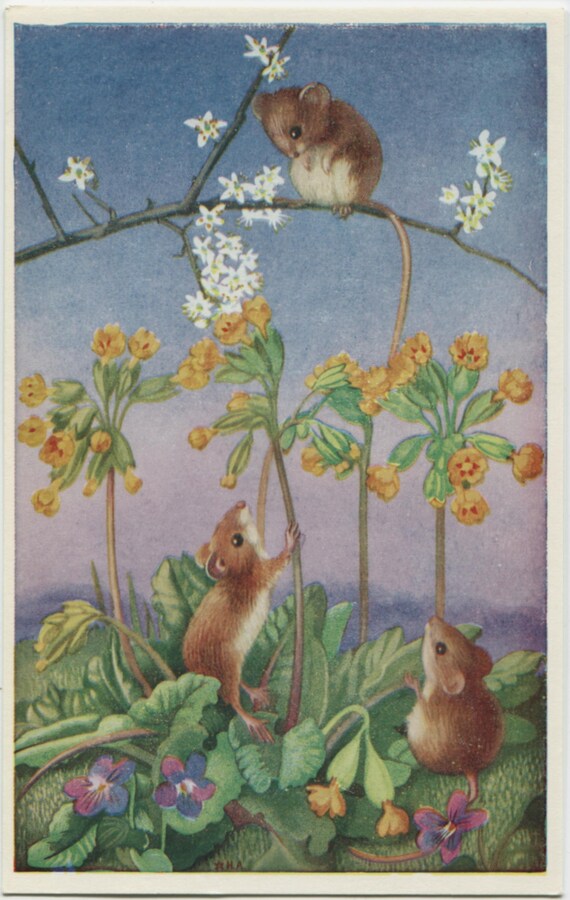 Field Mouse Vintage Art | Greeting Card Field Mouse Vintage Art | Greeting Card