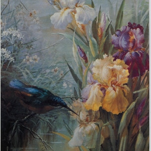 carte postale vintage de martin-pêcheur, Marie Low, oiseau au bord de l'eau, fleurs d'iris, carte d'art Médicis inutilisée, vers les années 1980, 105 x 149 mm