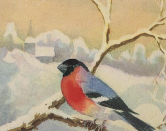 Vintage Christmas postcard: bullfinch, snowy landscape, Swedish artist Käthe Norborg, publisher Stiftelsen Pro Caritates, c 1960s, 90 x 40mm