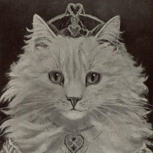 Carte postale antique de chat, Reine de coeur, G L Barnes, chat anthropomorphe dans une couronne, Raphael Tuck « Glosso » « Cat Studies », 1907, 90 x 140 mm
