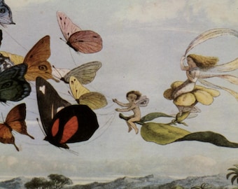 Vintage postcard: The Fairy Queen Takes an Airy Drive, artist Richard Doyle, Medici c 1980s, 149 x 105 mm