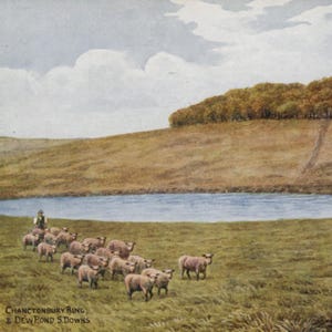 Vintage postcard: Chanctonbury Ring and Dew Pond, South Downs, artist A R Quinton, publisher Salmon, 139 x 89 mm