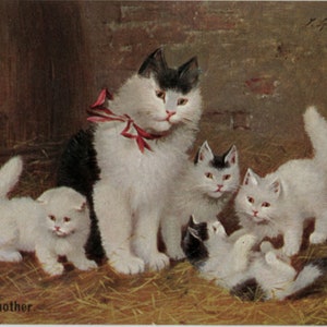 Chat et chatons, carte postale ancienne de Sophie Sperlich, Une mère fière, chats noirs et blancs jouant dans la paille, carte Max Ettlinger, années 1900-1910