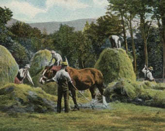 Postal antigua: Siega, hombres y caballos, escena rural, editor Theodor Eismann, Leipzig, década de 1900, 139 x 89 mm