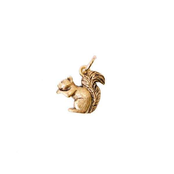 Squirrel Charm- Set of 10