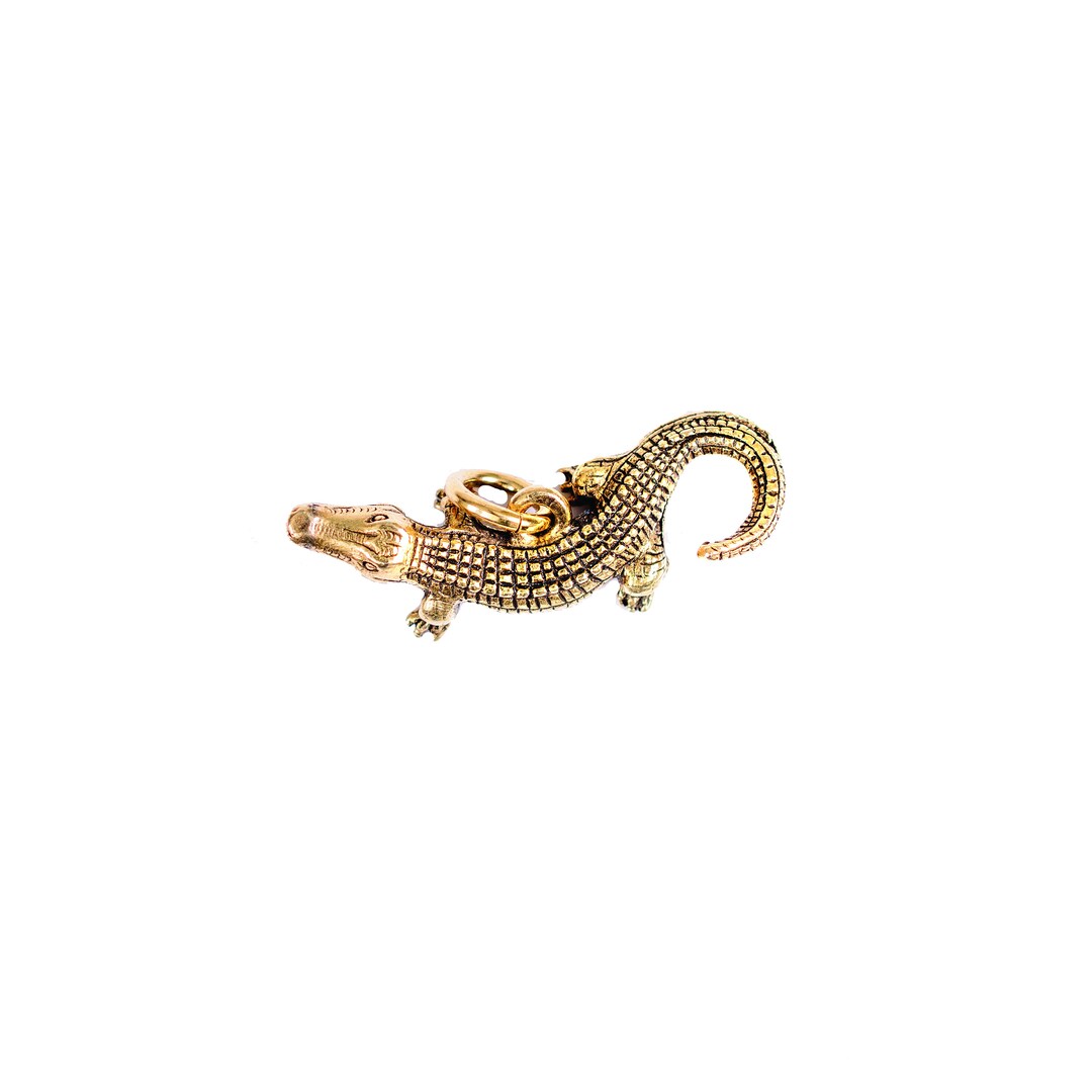 Alligator Charm Set of 10 - Etsy