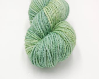 Merino Worsted Hand Dyed Yarn - Lagoon