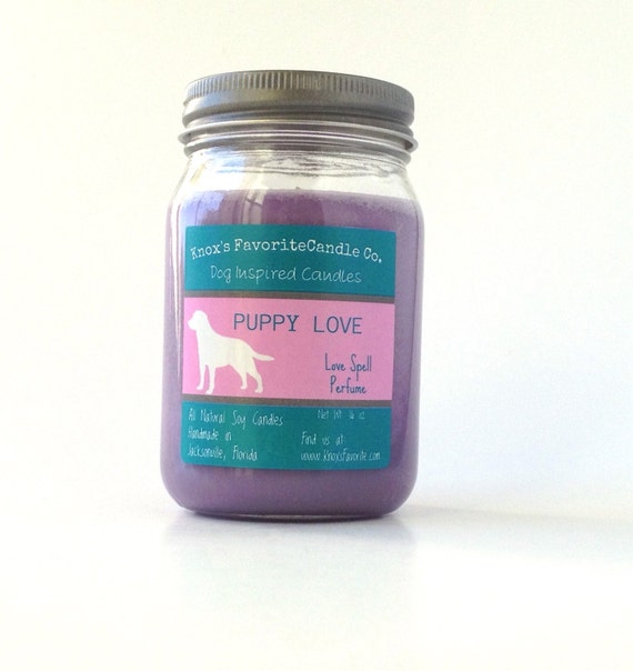 Puppy Love Love Spell Perfume Scented Soy 16 Oz Mason Jar Etsy