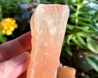 One (1) Raw Peach Selenite Crystal from Morocco | Sacral Chakra | Auric Cleansing | Divine Feminine | Soul Star | Past Life |