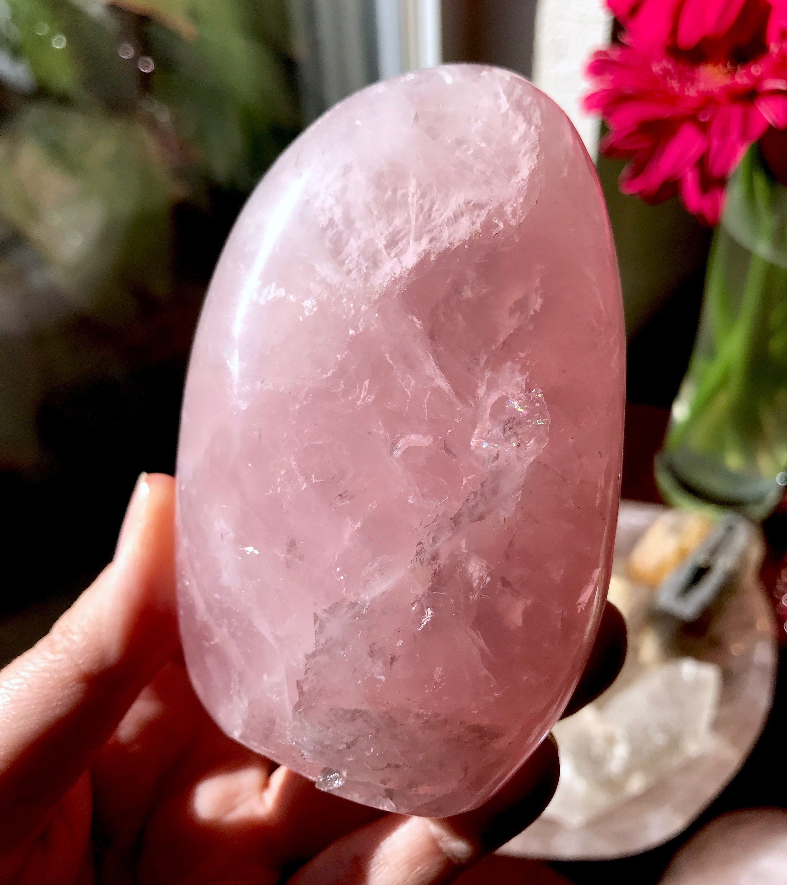 star rose quartz star rose quartz