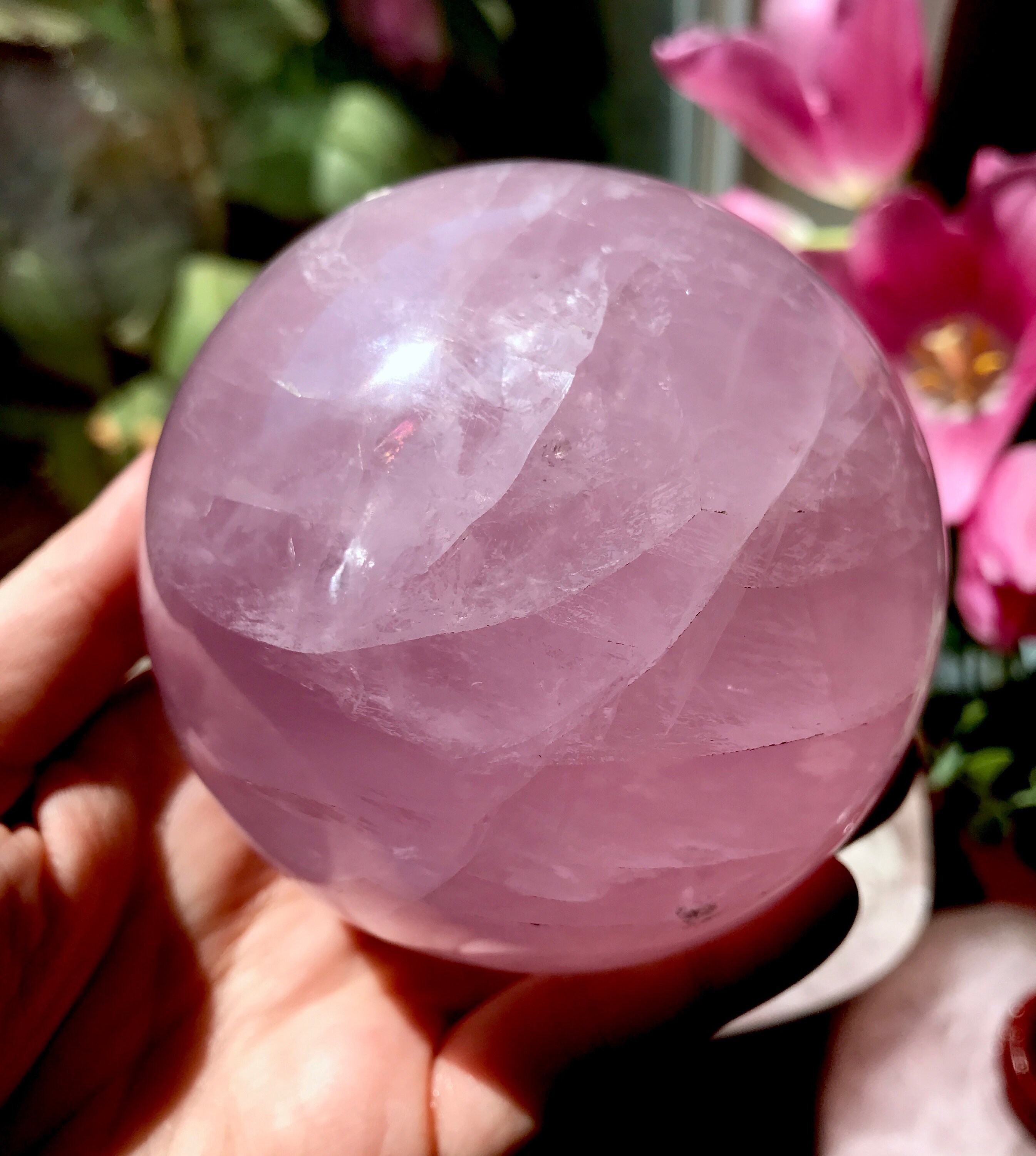 star rose quartz star rose quartz