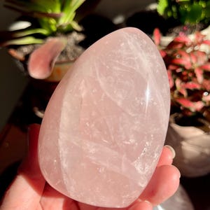 Star Rose Quartz Freeform Generator from Madagascar Gemmy Iridescent Rose Color Love Crystals Heart Chakra Crystal Grids AA Quality