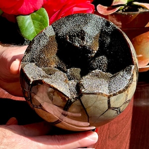 Septarian DRAGONS SPHERE XL Madagascar Septarian Druzy Sphere Dragon Stone Protection Ancient Energy Septarian Geode Sphere