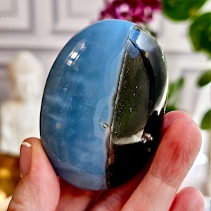 Owyhee Blue Opal Crystal Palm Stone Opal for meditation crystal for dreamwork throat chakra crystal opal blue opal oregon common opal Owyhee