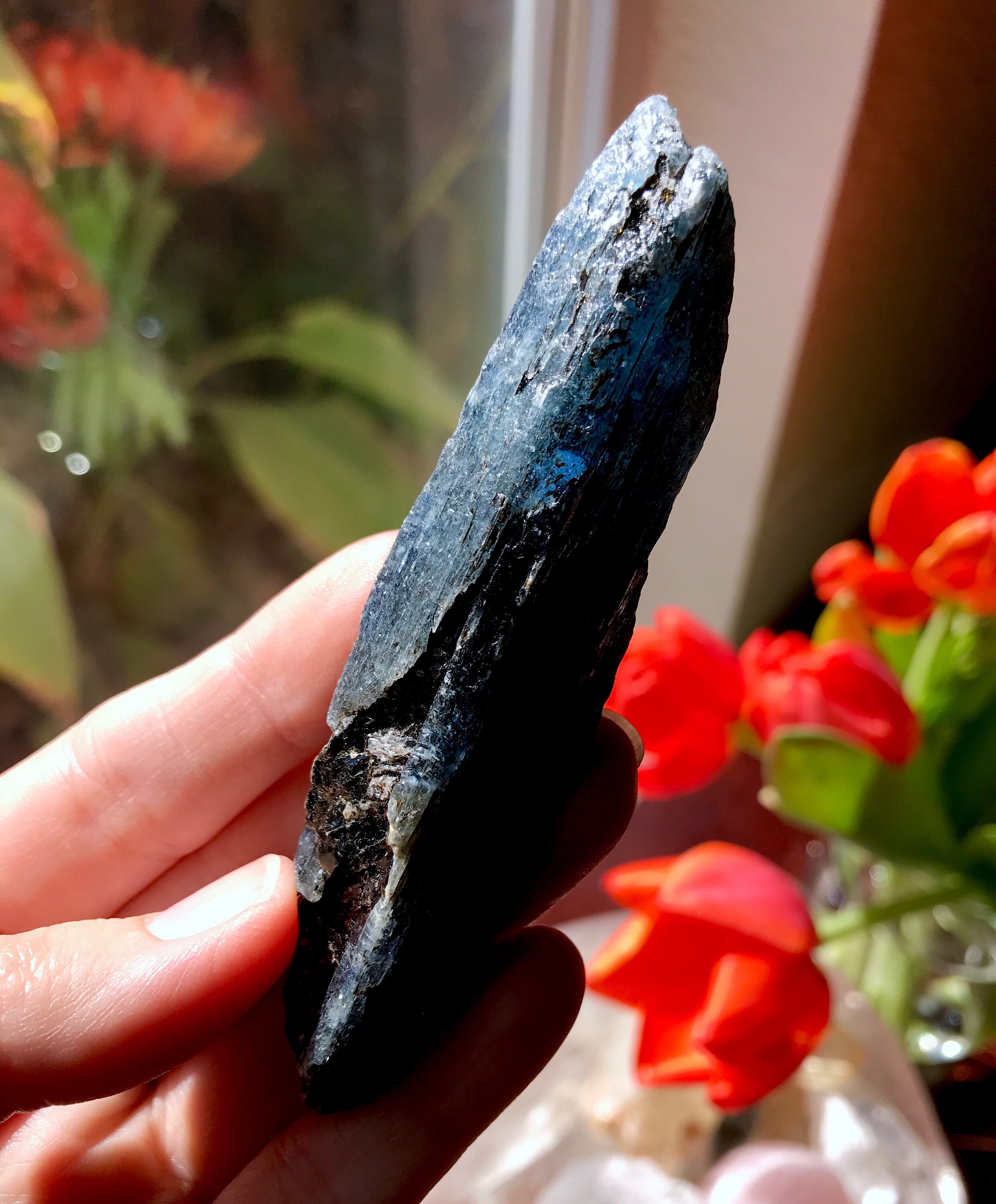 GEMMY Indigo Kyanite Blade (54 grams) from Zimbabwe XL