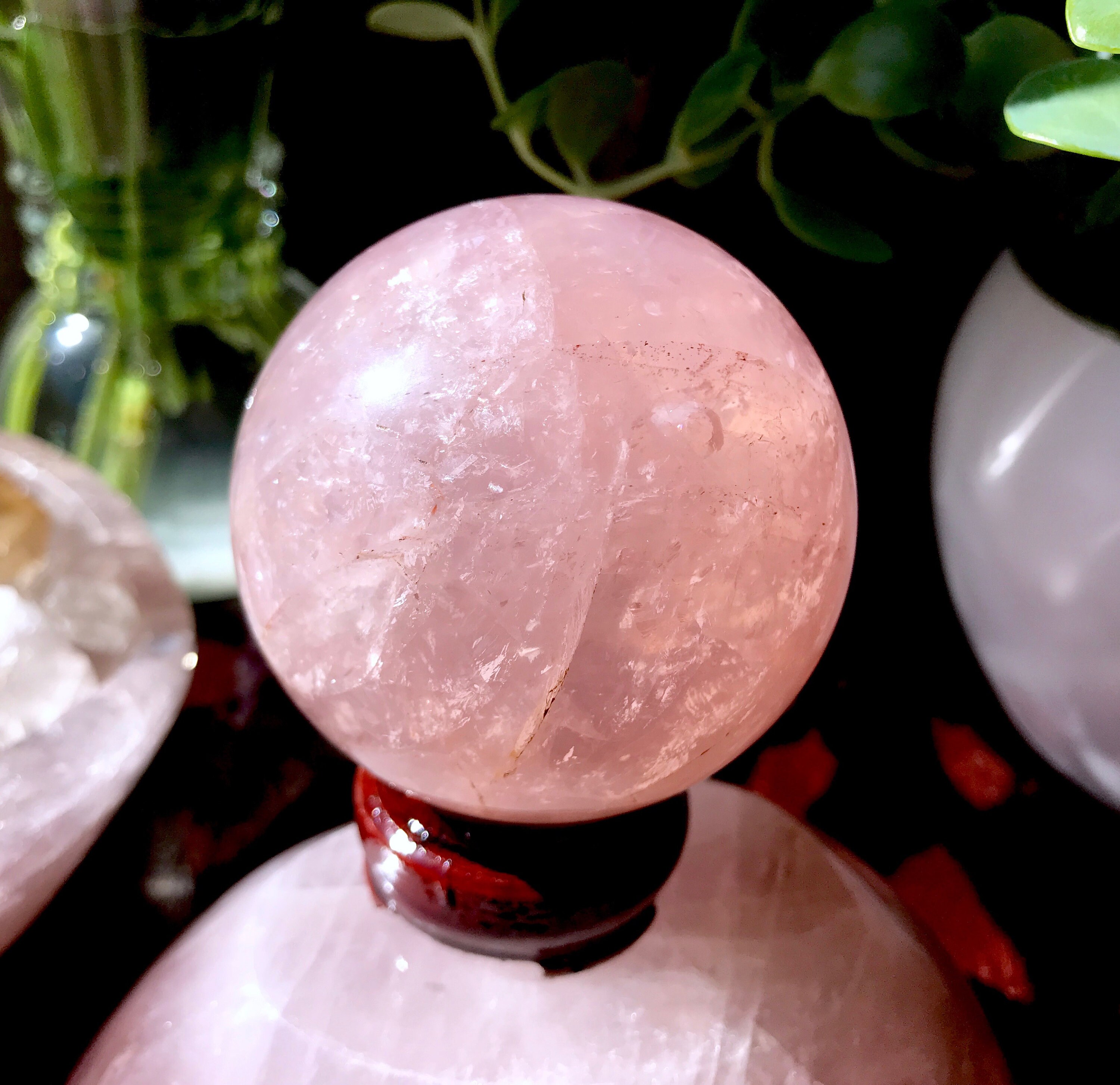 star rose quartz star rose quartz