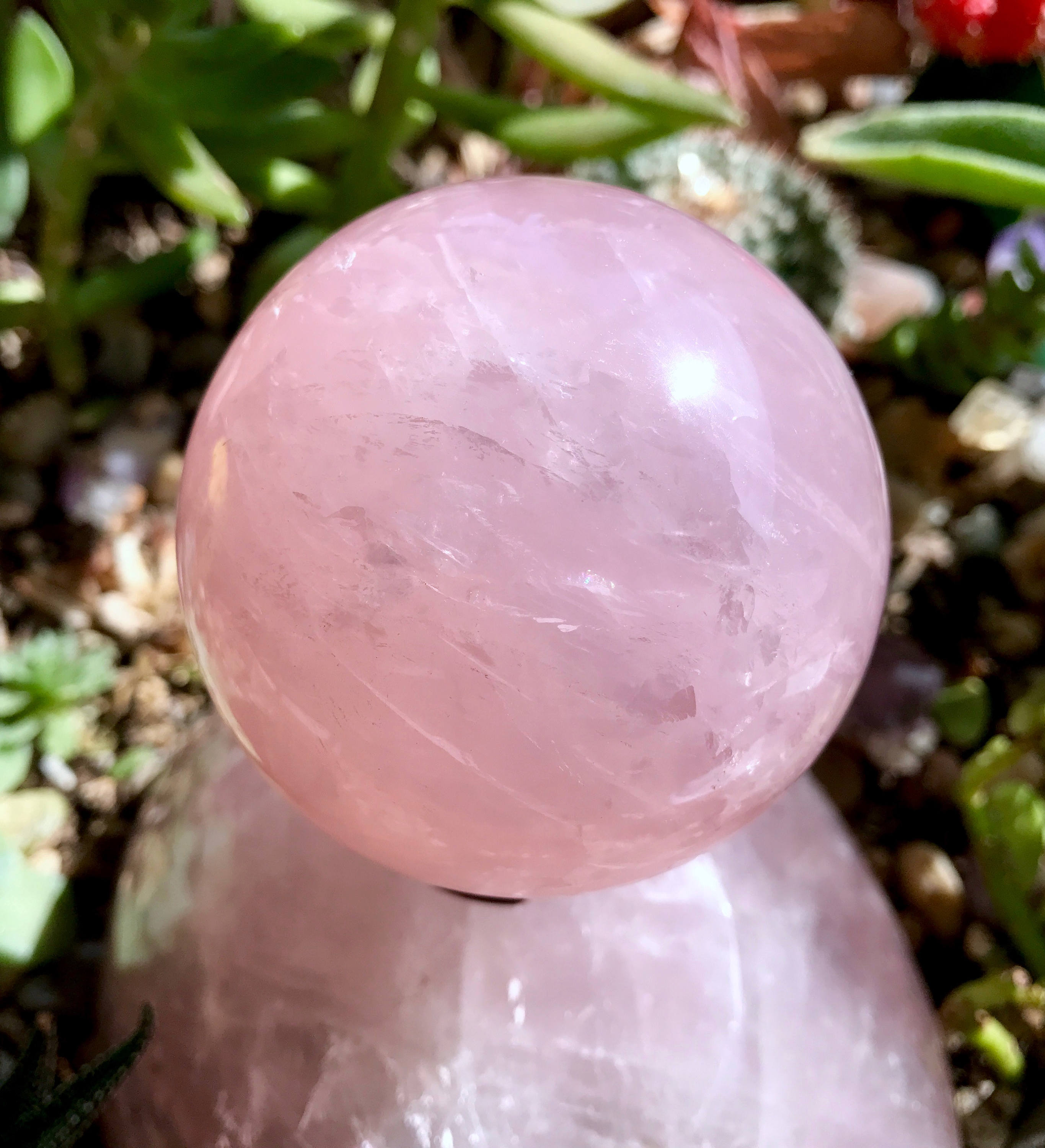star rose quartz star rose quartz