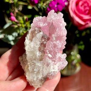 Crystalized Rose Quartz Cluster with Smoky Quartz from Brazil | 62.8 grams | Rose Quartz Cluster| Very Rare | New Crystal Discovery