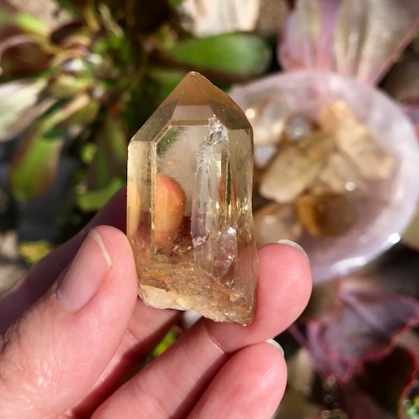 One (1) Natural Raw Citrine Point (20-21 grams) from African Congo | Third Chakra | Golden Citrine | Natural Citrine | Joyful Energy L2021