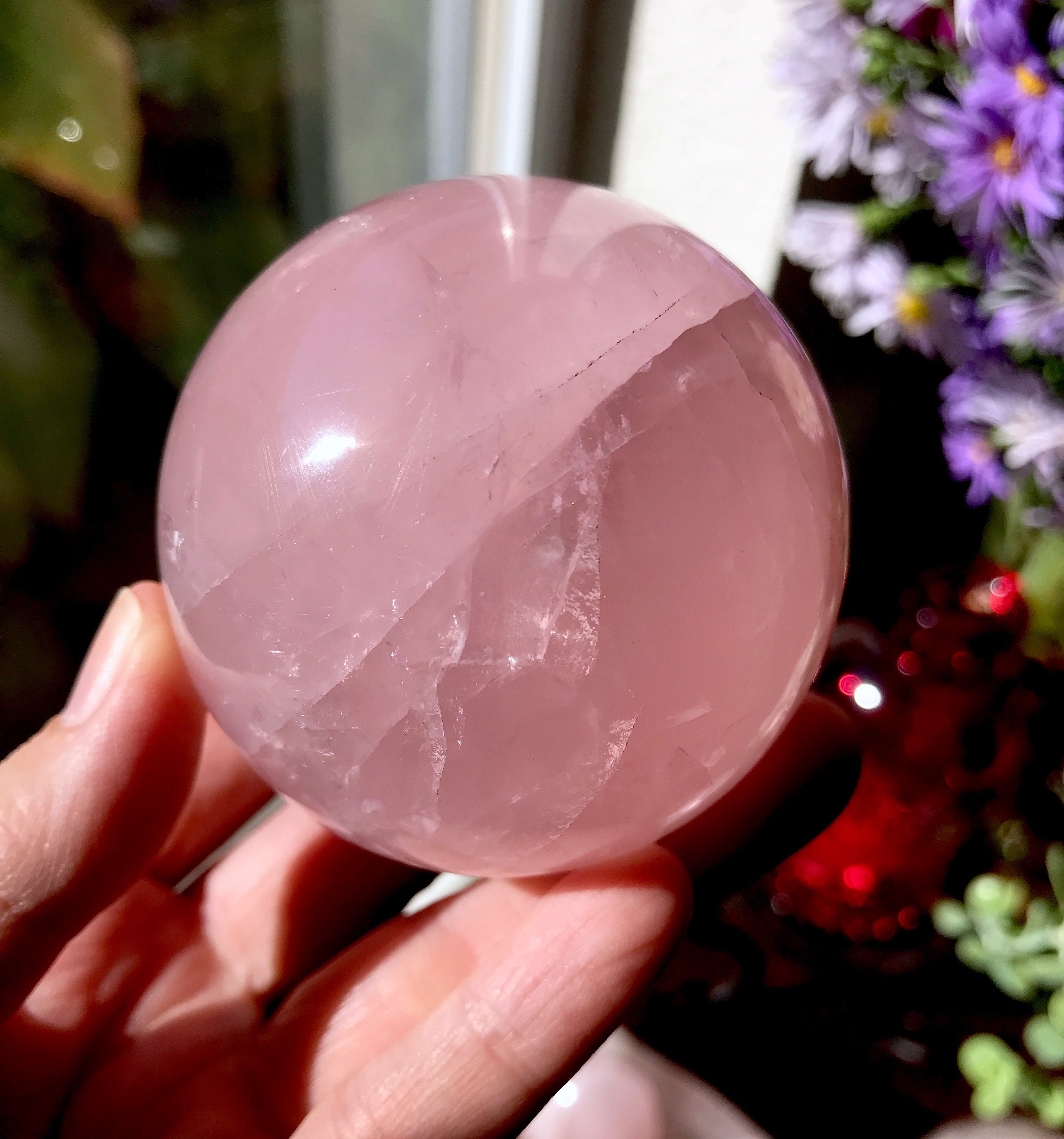 star rose quartz star rose quartz