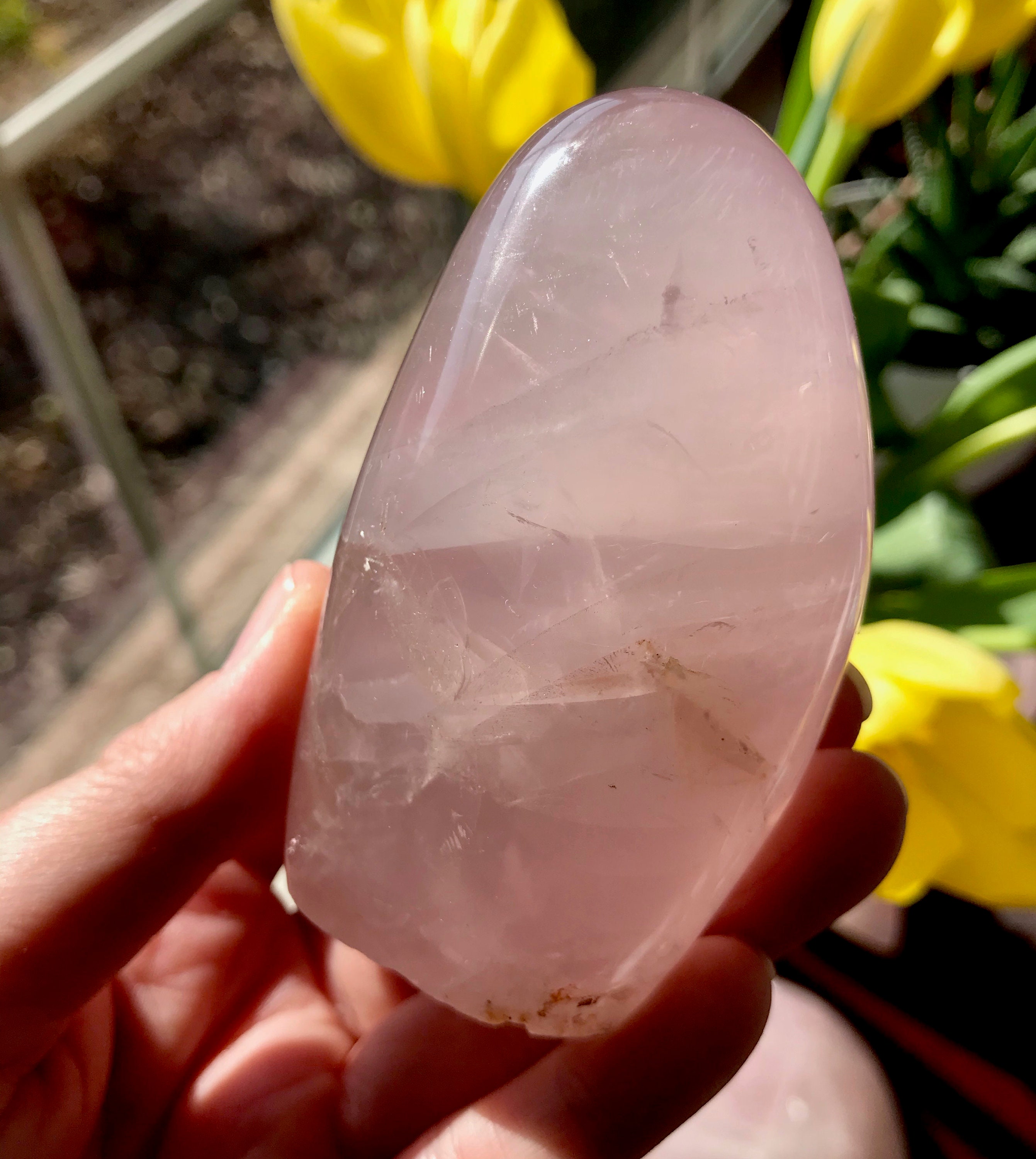 star rose quartz star rose quartz