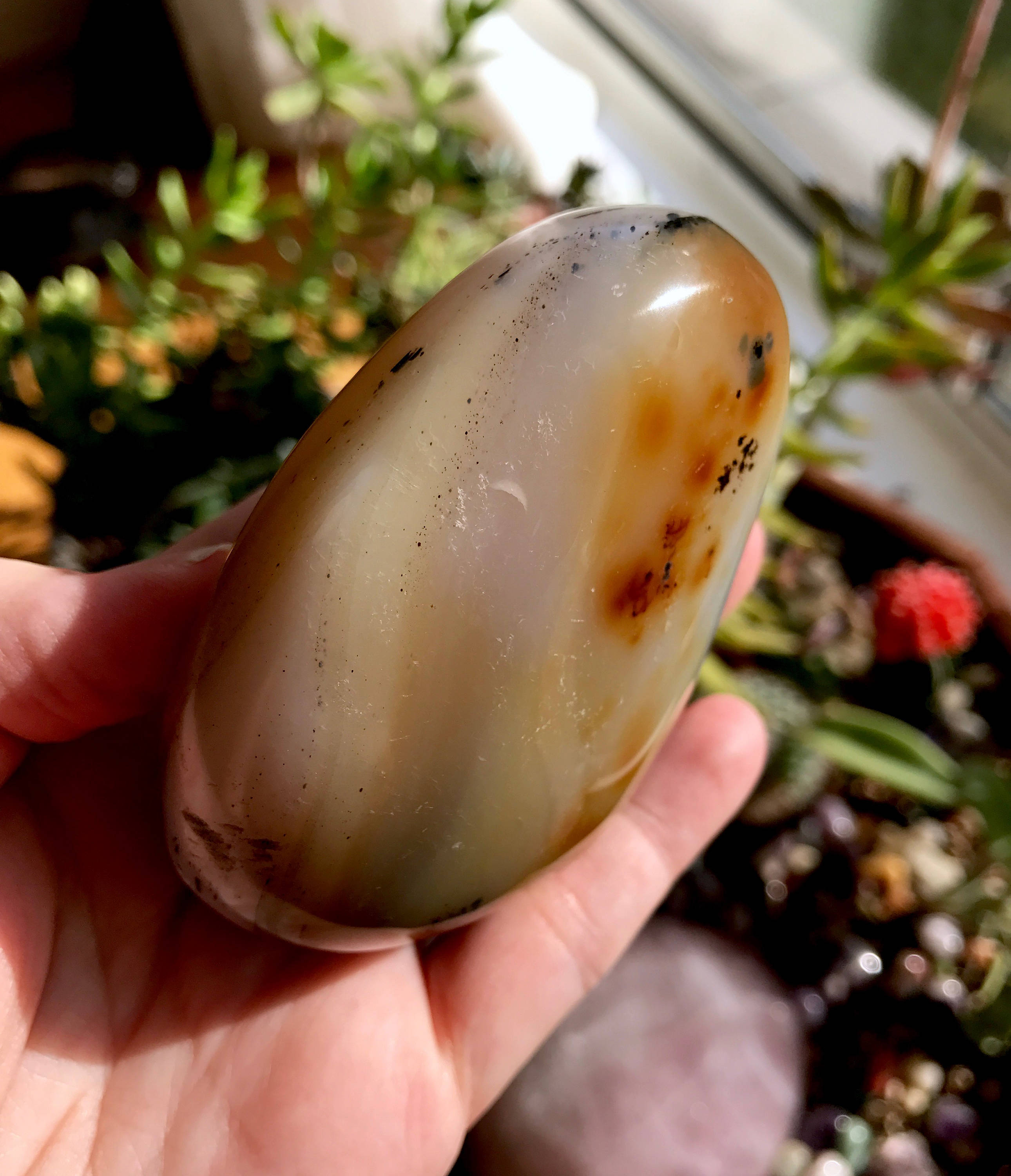 dendrite agate dendrite agate