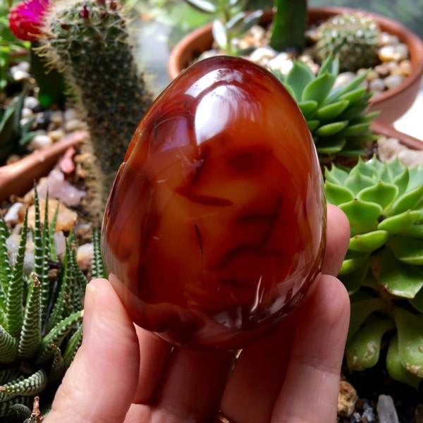 Gorgeous Scarlet Carnelian Egg with Crystal Cave from Madagascar | A Grade | Passion | Self Confidence | Root and Sacral Chakras T374B
