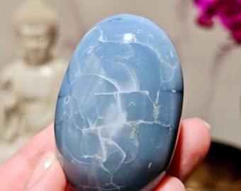 Owyhee Blue Opal Crystal Palm Stone Opal for meditation crystal for dreamwork throat chakra crystal opal blue opal oregon common opal Owyhee
