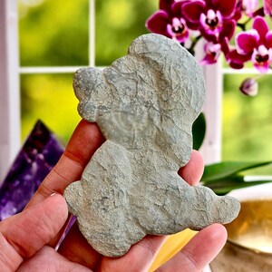 May include: A gray, textured stone carving in the shape of a bear. The bear-shaped stone is held in a hand, with a blurred background of a window, flowers, and other objects.