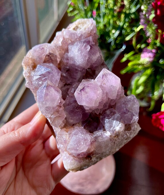 Glittering Amethyst Spirit Quartz Crystal from South Africa | Rare Color | Grand Formation Stone | Amethyst Cactus Quartz | E55C