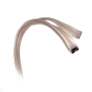 Champagne Silver Highlights Remy Human Hair Extension Clip-in