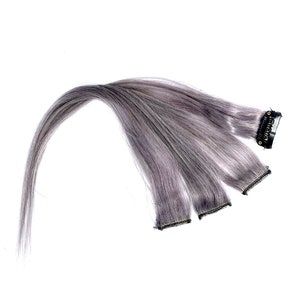 Lavender Grey Highlights Remy Human Hair Extension Clip-in Lavender Hair Limited Availability Custom Designed Colour image 5