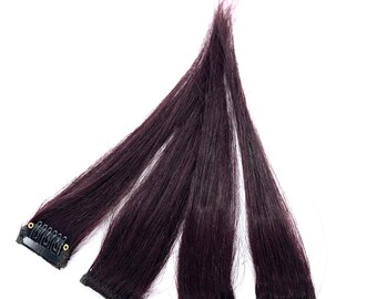 Aubergine Highlights - Plum Highlights - Deep Red Highlights - Human Hair Extension Clip-in