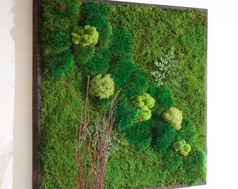Preserved Moss Wall Art: 36x36 Pine Frame, Shou Sugi Ban Finish - Etsy