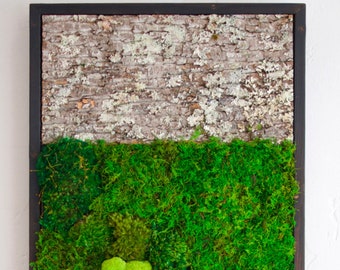 18x36" Real Preserved Moss Wall Art with Bark. No care green wall art. Real preserved moss and Bark