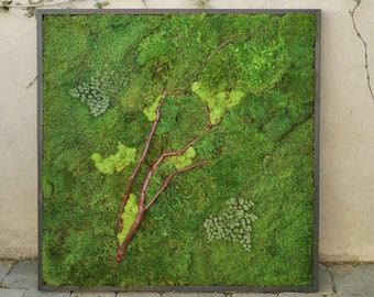 Preserved Moss Wall Art with Manzanita