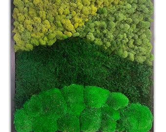 Modern Wave Design #4 Moss Wall Art. Real preserved zero-care green wall. Real preserved moss.