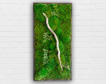 18x36" Real Preserved Moss Wall Art with Driftwood. No care green natural decor. Real preserved moss and ferns, pine wood frame.