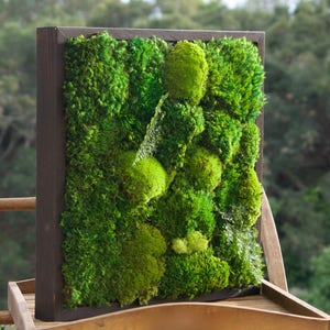 May include: A square wall art piece featuring a dark brown wooden frame filled with a dense arrangement of vibrant green preserved moss. The texture varies between flat, leafy patches and rounded, bulbous mounds of bright and deep forest green.