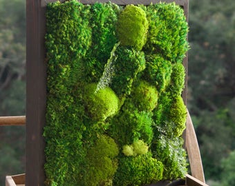 18x18" Moss Wall Art with no sticks. Real preserved zero-care green wall. Real preserved moss & ferns.