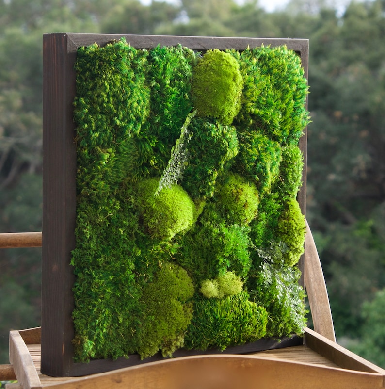 May include: A square wall art piece featuring a dark brown wooden frame filled with a dense arrangement of vibrant green preserved moss. The texture varies between flat, leafy patches and rounded, bulbous mounds of bright and deep forest green.