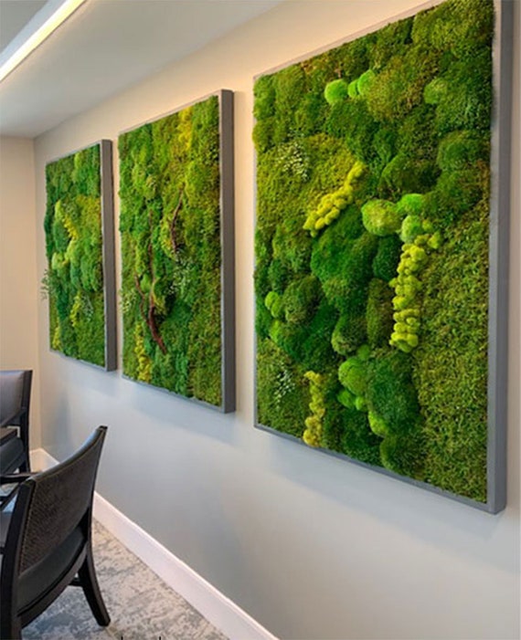 Moss Wall Green Art Preserved Moss Decor - Etsy